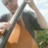 Upright Bassist